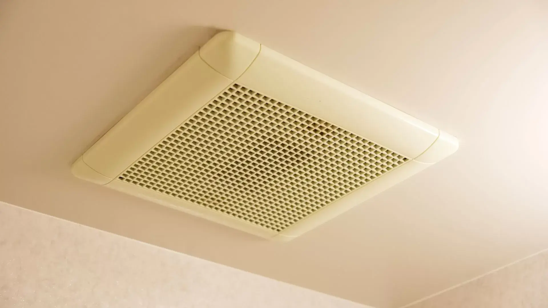 Advantages of Installing an Exhaust Fan: Electrical Services for Improved Ventilation