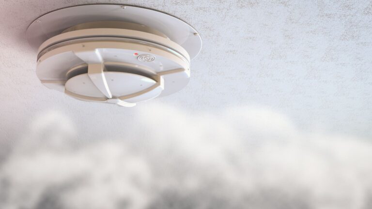 smoke and carbon monoxide detectors