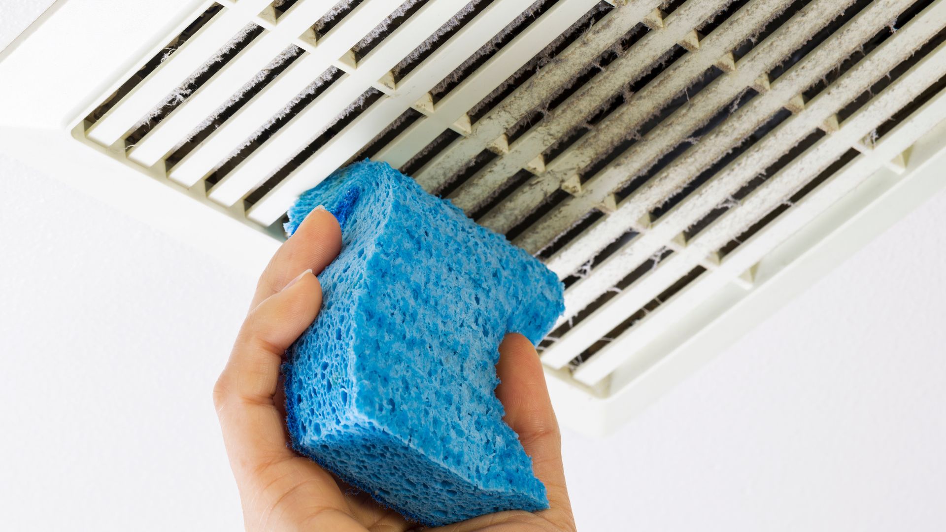 Preventing Mold with Exhaust Fans Tips from Electricians