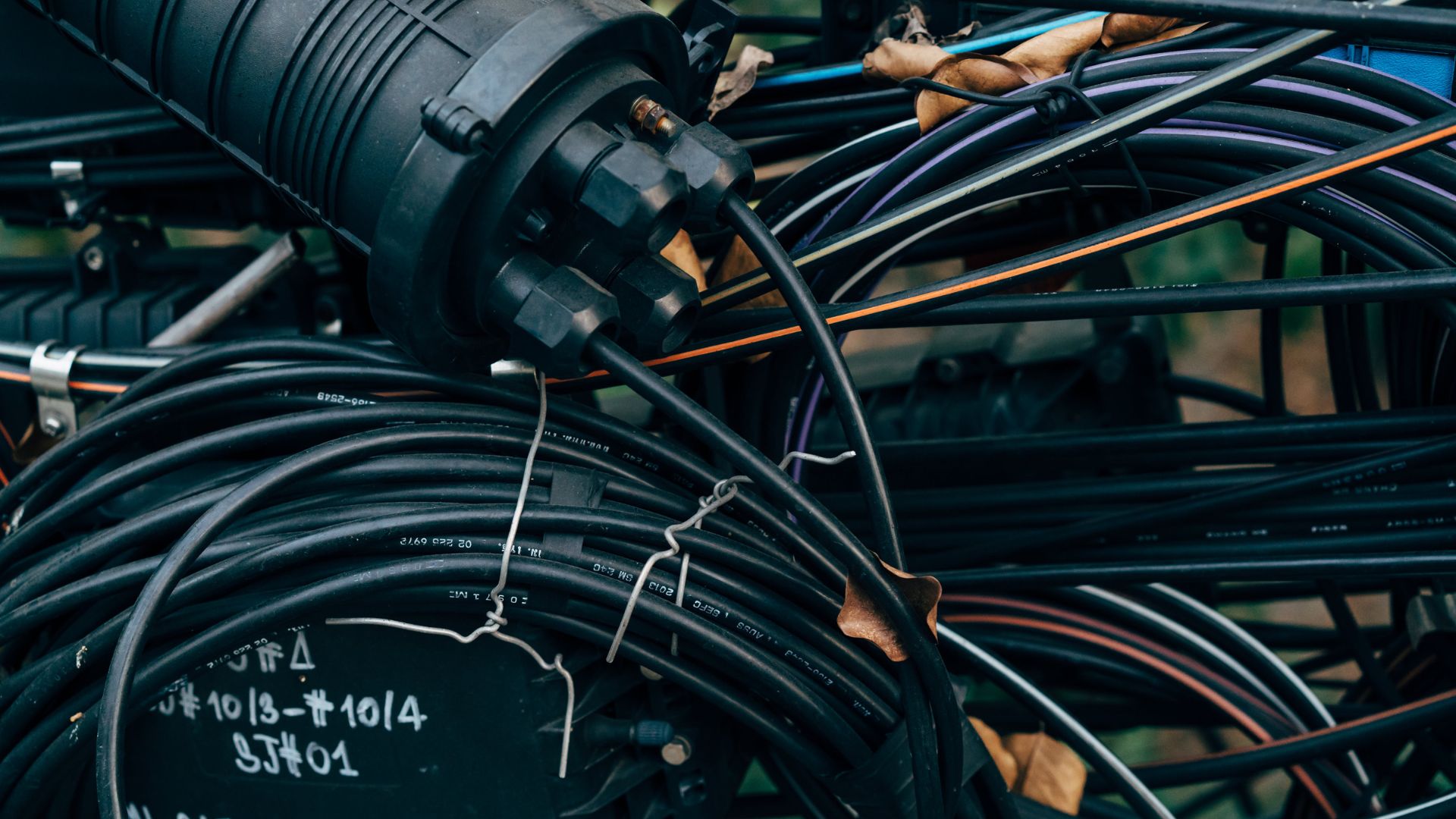 Electricians' Guide to Understanding Black Wires